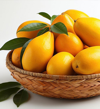 Alphonso Mango